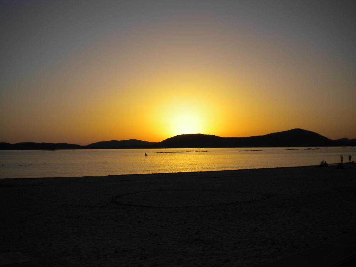 Passi Alterni Apartments Alghero Bagian luar foto